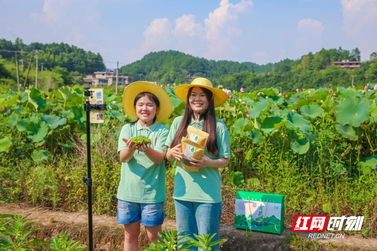 图片19.png 图片19.png